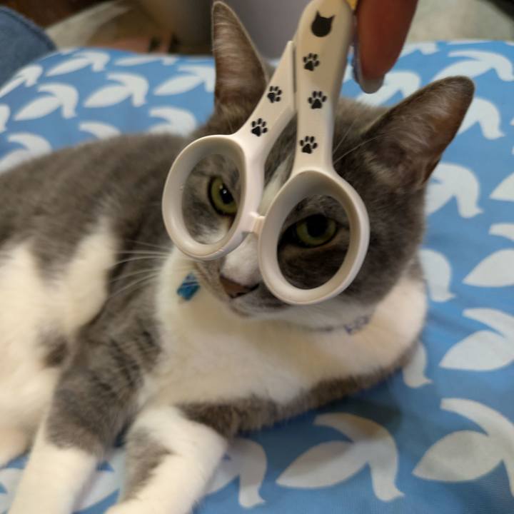 C9348573 2252 4c57 9c8e 904f38677ee4 1746970816548