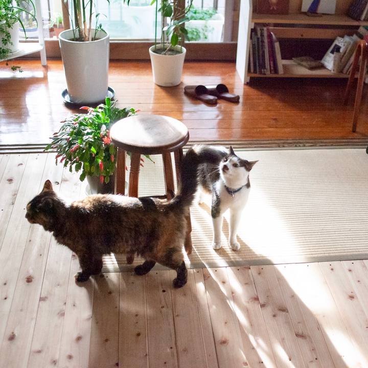 C93488c6 2257 48c3 b692 9cb54f41212e 1579529285366