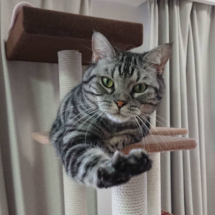 C934906a dd95 47d7 bc02 221865cd56f4 1602657606472