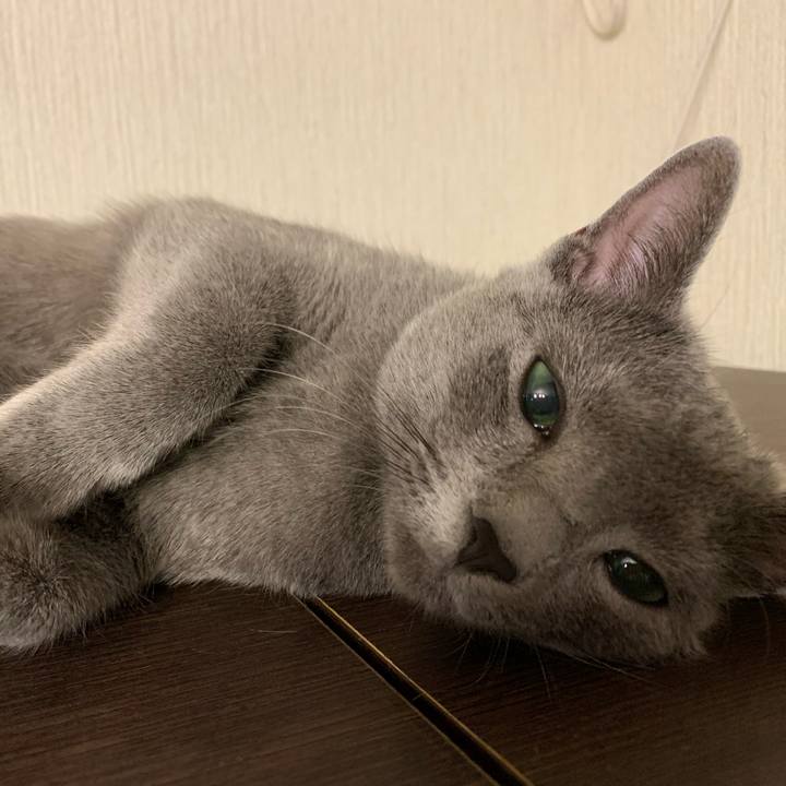 C934a324 c106 4453 b56c bcce79e4a98b 1578431332707