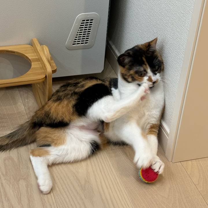 C934b4ab e1a8 4073 8511 7d4cac6691d0 1769139789410