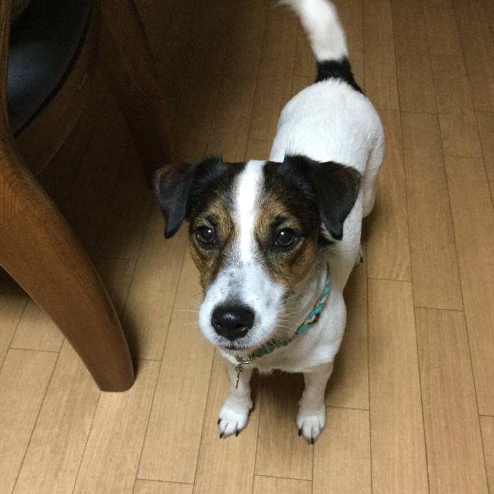 C934bf20 dc18 4a1c b449 066f2d50f8da 1509874861121