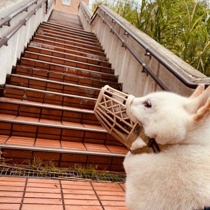 C935357e 49a7 4622 8c3f fd1318f4ba38 1629925909806