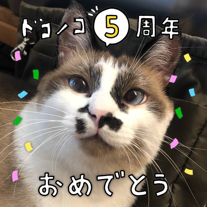 C9355ac3 2612 4219 b31e 84e456349b09 1622859999929
