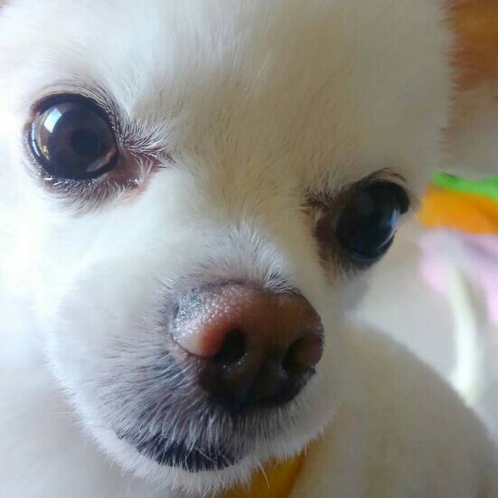 C9356303 42eb 44c6 89fb cbd06596e9fd 1553327954727