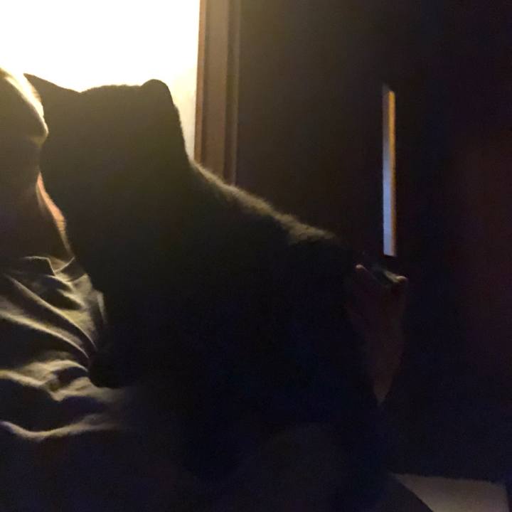 C935788b 3036 4196 ac2f c1ba00dffc0e 1729673630476