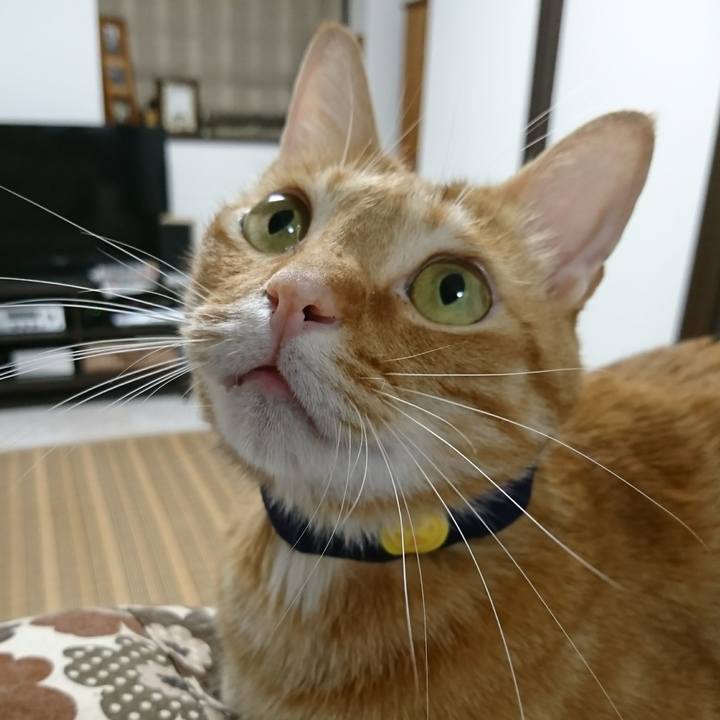 C935bf6b ccb4 46f3 b46b 5e709ad43ea1 1532217368024