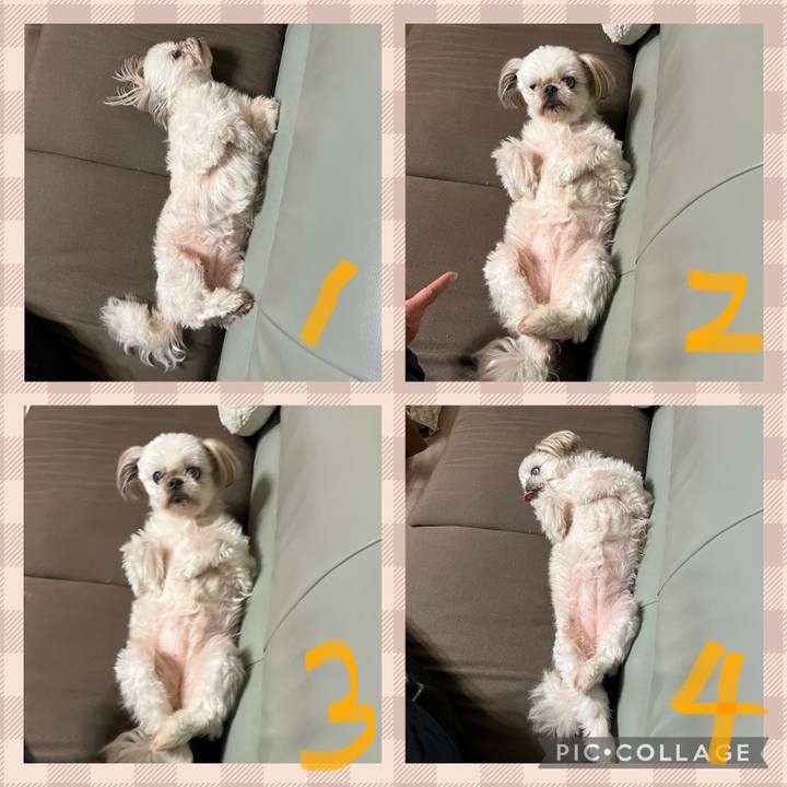 C935c1bd 3ea3 4267 9720 f68775d8f411 1696474641085