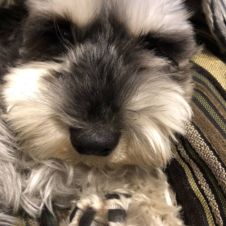 C935c5ec 4e89 49e3 99bb 0939843e0bb2 1523706183996