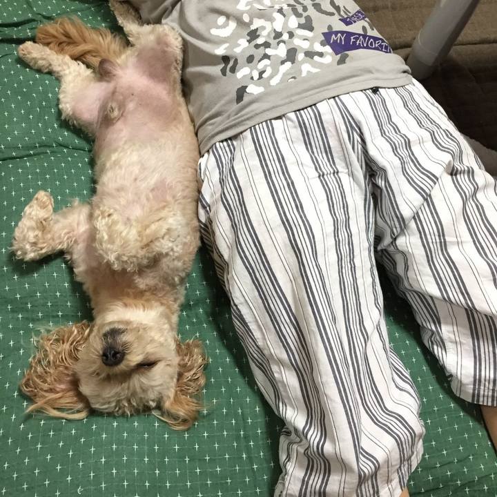 C936514f 9b1c 4bb4 a23b 6d9c1090424c 1534692149192