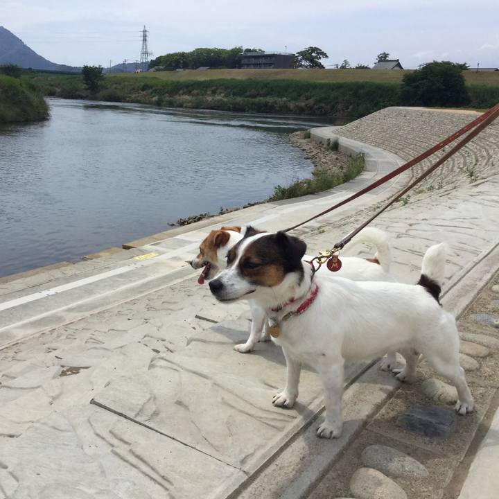 C9369508 d981 4e82 948f 45098597d277 1559373295341