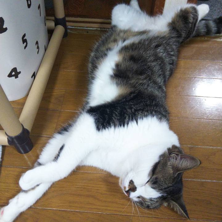 C936d78c 919e 4dd7 ae7d d99d224d9a0c 1656254901202