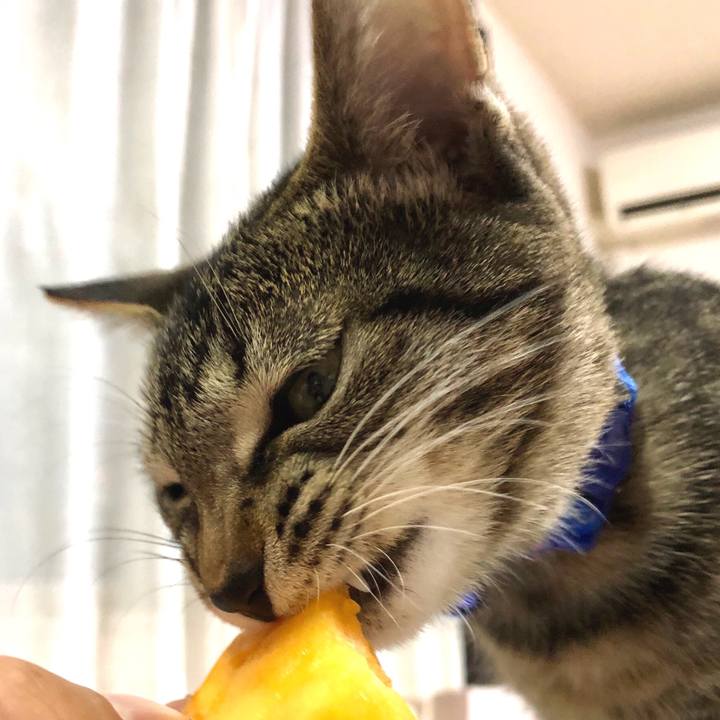 C936df0b 5740 4e52 976b 2e29a7b83912 1511239088336