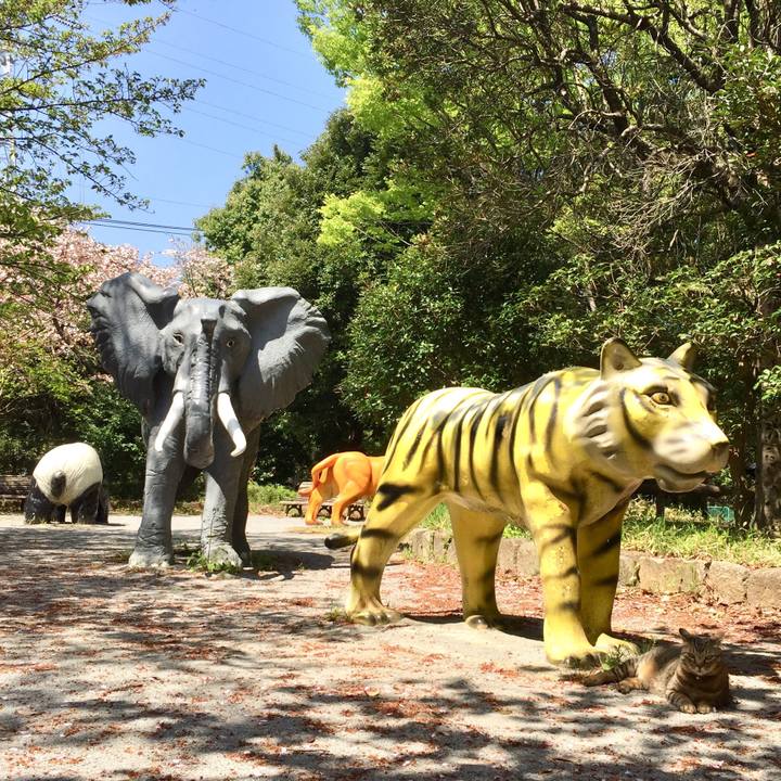 C937166f 6557 4dfe 8a29 1734fed58a9d 1523421633026