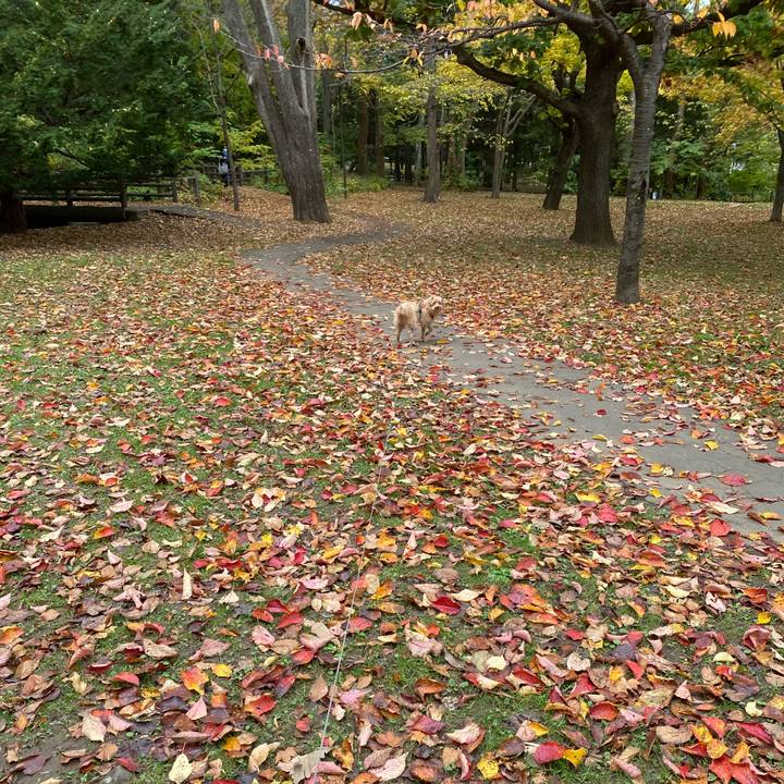 C9373ee5 b4b0 46ed b75f 2cd2d9db5274 1666678257688