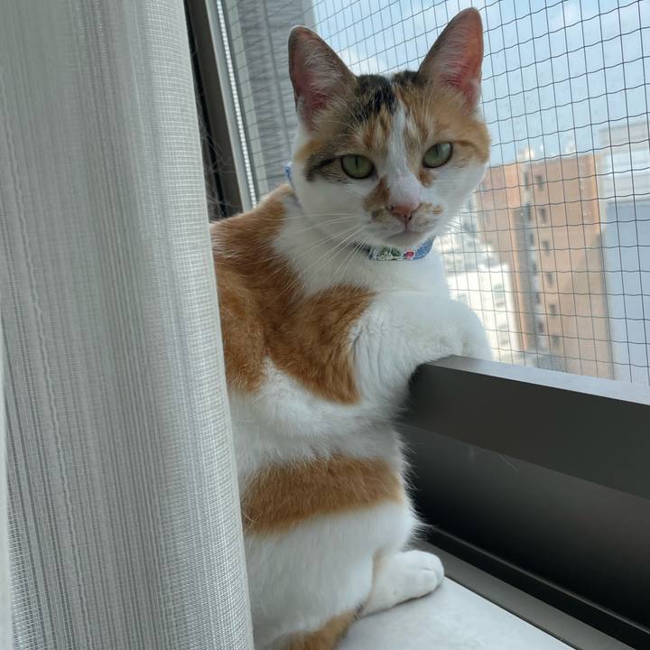 C9373f9a c498 4143 b294 24f525cedd85 1687995154898