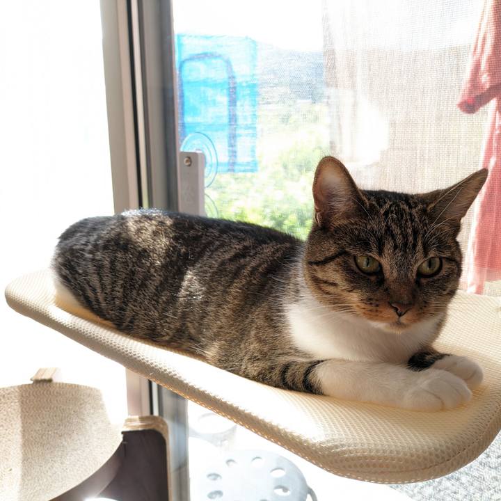 C9378ff5 f6fa 4c7a b61b c3b8cc59737f 1691710166873