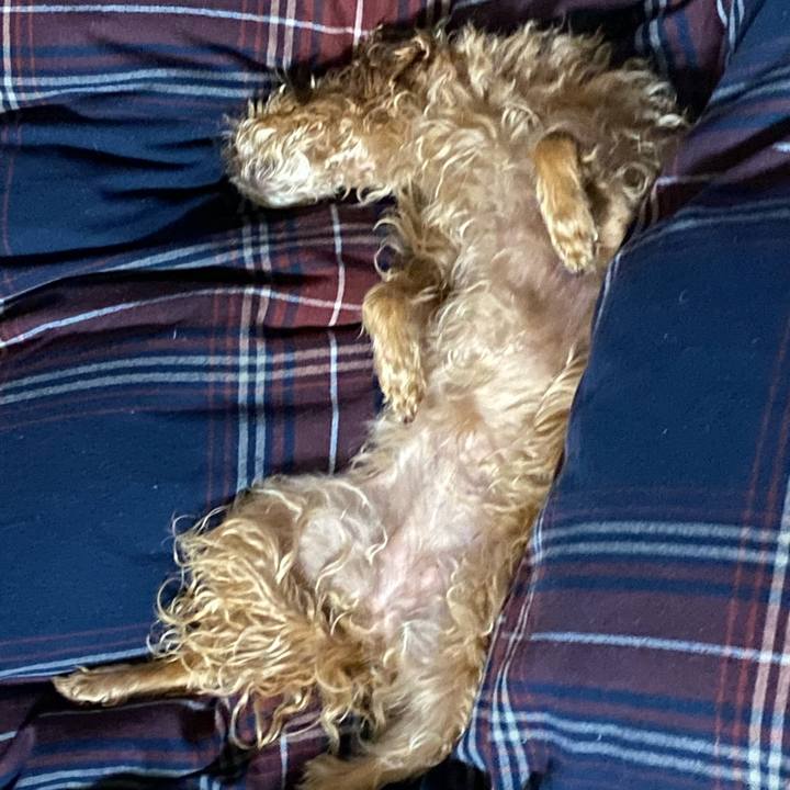 C937adb8 ba86 4d7b 97df 7f01485c8f10 1667045506336