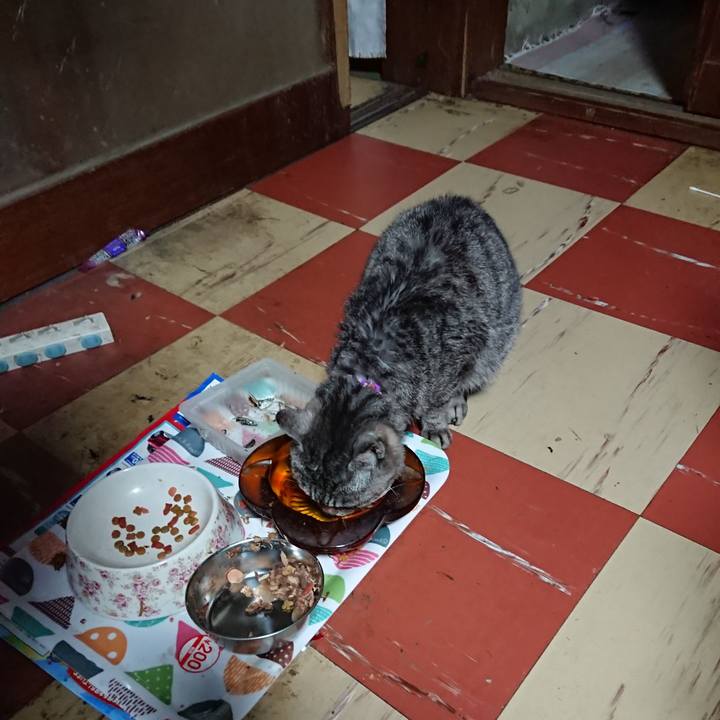 C9380dad 7779 42e5 a4f2 1378e9e462a2 1588450417536