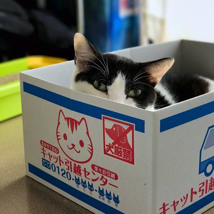 C9381fe9 9081 4150 a7f3 363a4ddaf44f 1535506112471