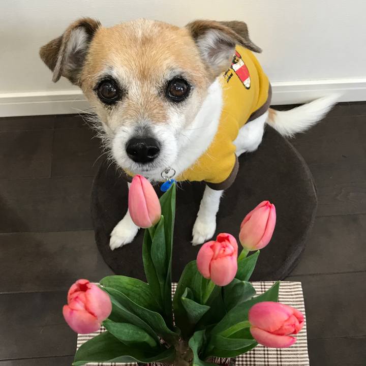 C9382ad8 1b42 4a5a a9f4 f9ab7505751c 1613884867202