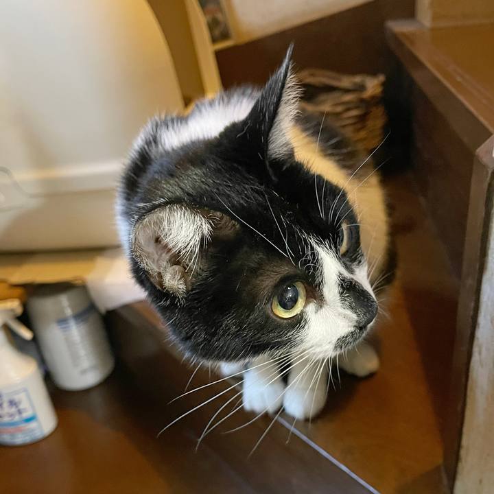 C93868ed 08ae 479e 8aef 9b966fad1aaa 1764110989049