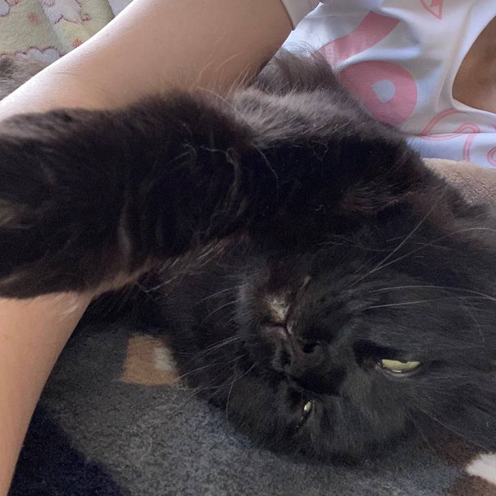 C9387fd0 2b8c 4064 8725 45524693c140 1596158787405