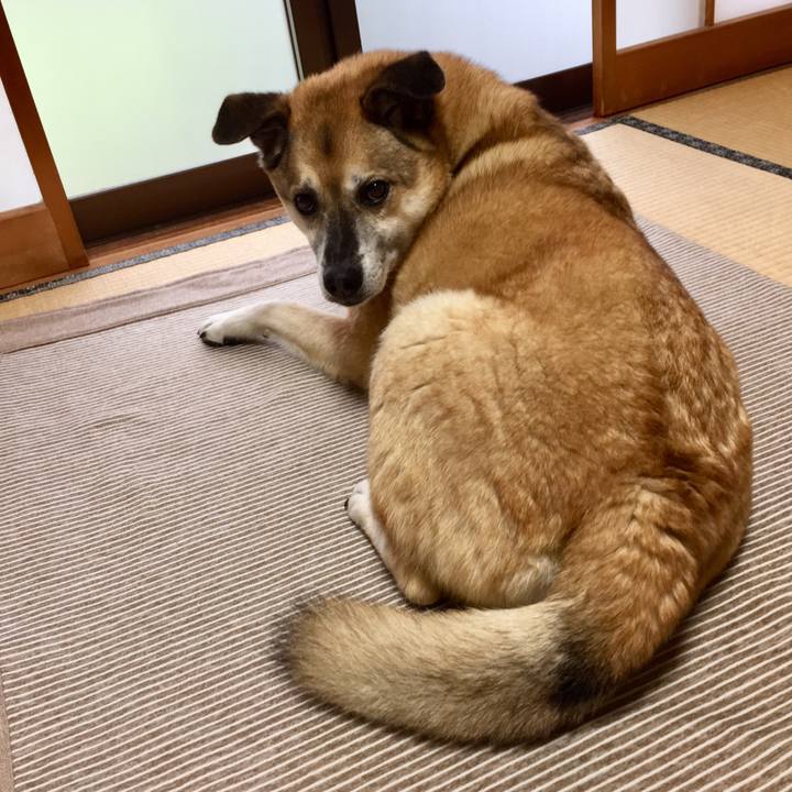 C93893e6 d582 4dab b567 60dd96507586 1589601887488