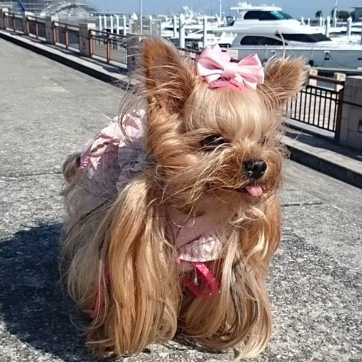 C9389f88 c6e2 4fa5 ae2b 687530aad2f2 1763103058338