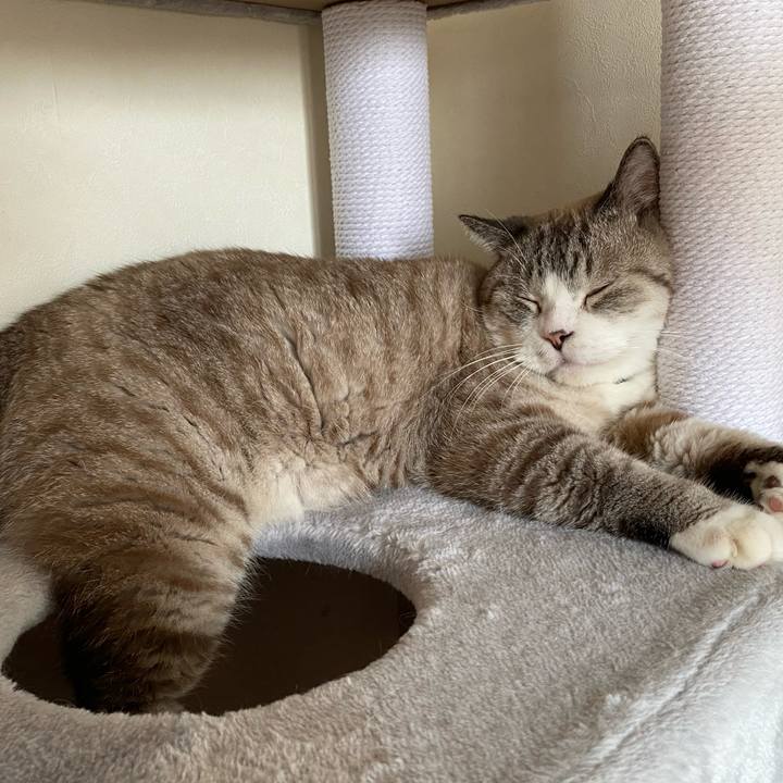 C938b4d0 38e4 4bac 96c1 9ba3decdda49 1600749636521