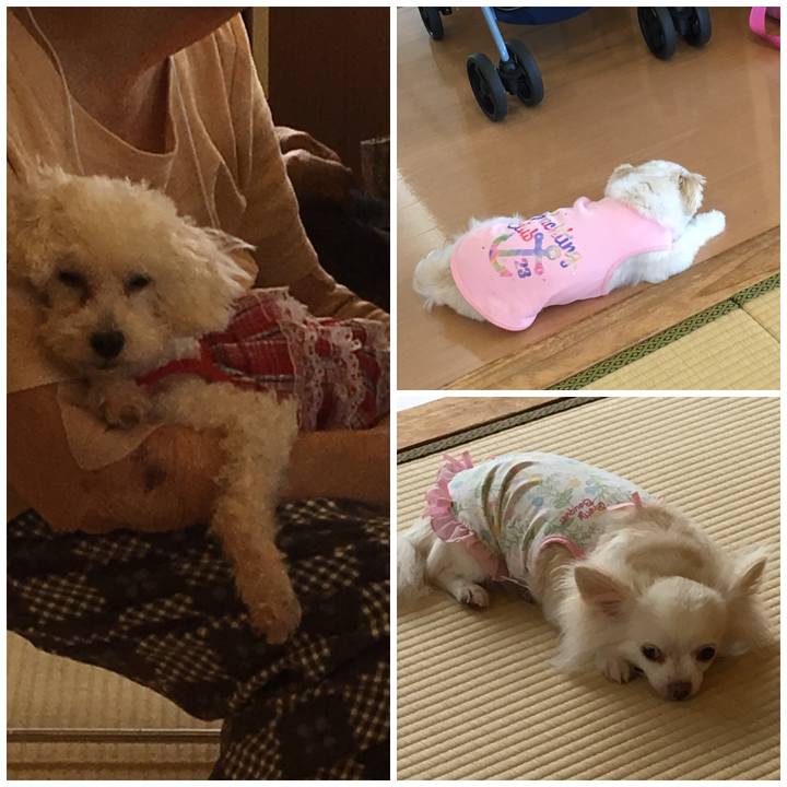 C938cd60 d102 4671 8ecd 8dcbb971e75b 1536559222627