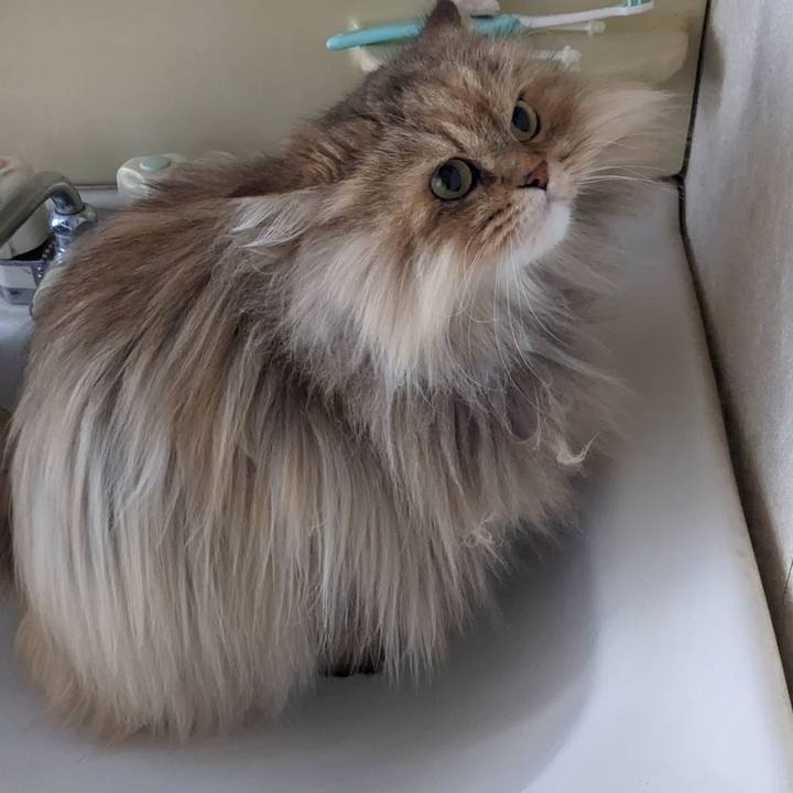 C938d850 64ab 4829 8635 0f4a8b14133d 1674187889453