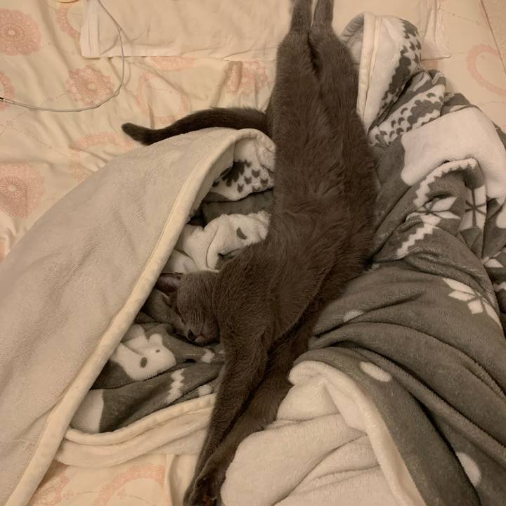 C9390c04 7167 46ab b9cc a7fb63d4c72f 1663495902513