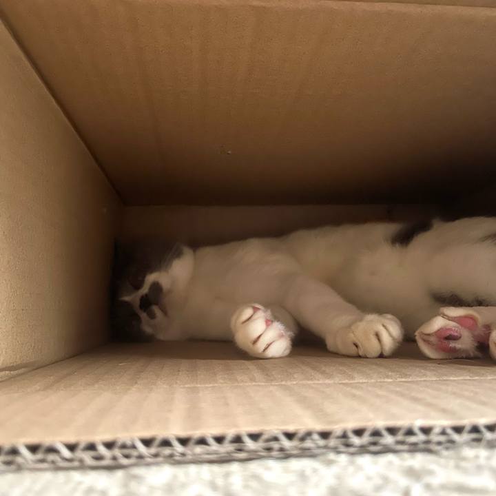 C93914d1 3b63 4d44 9f91 f9b07846636d 1735284690733