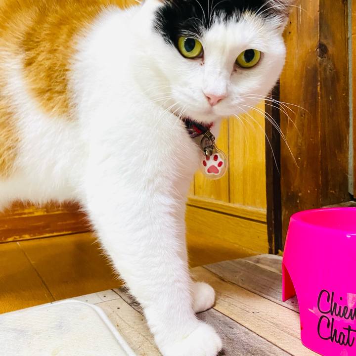 C9393402 b795 4ebb bb1a a82c1b387dec 1730118170969