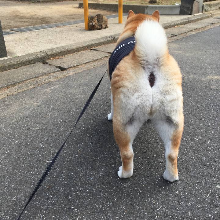 C9395abc 5da8 406e bae8 1208b4b39111 1568506707455