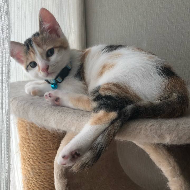 C9396432 4031 4a22 a1ea 97a74ab4aa54 1562715080688