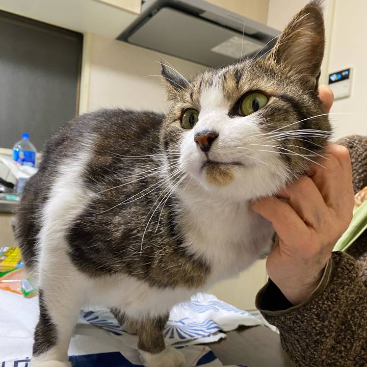 C9397e8d 8f0b 43d3 bae6 510f4d3c9013 1646137791524