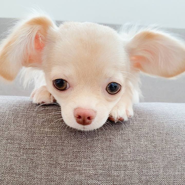 C939c4e7 28a8 4bdc b8c7 a6886d5ed7d0 1595974825066