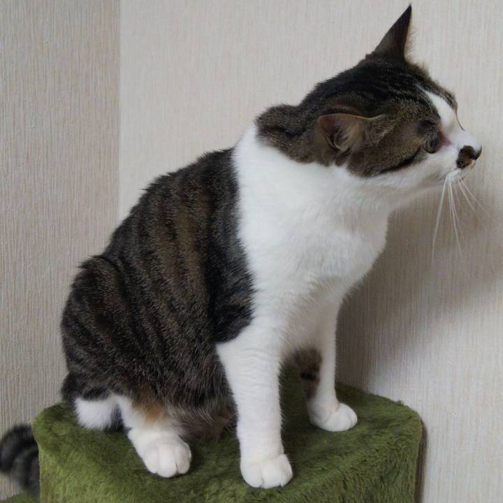 C93a1b1a 1592 4732 b75c eb38ccf873d0 1652917817601