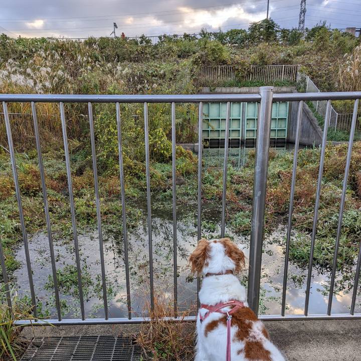 C93a3932 4228 4fdb 88f3 f70bcd795e33 1636762639444