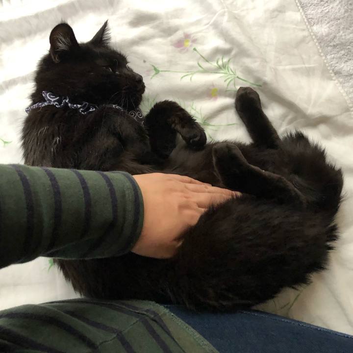 C93a68cc e0f4 451a b631 8c2f3524f62c 1577923056873