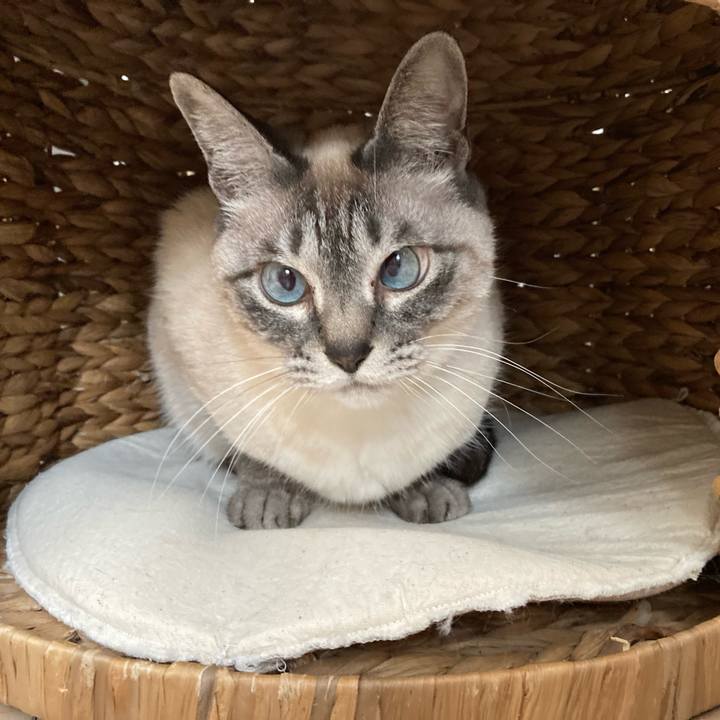 C93a7f7f d1f3 4f35 8722 e3ab65e1ddd8 1744097582488