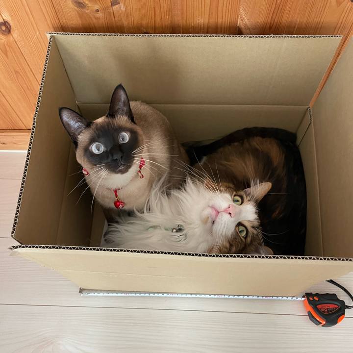 C93a8414 250f 48ff 9cd5 754e0712397c 1738457976071