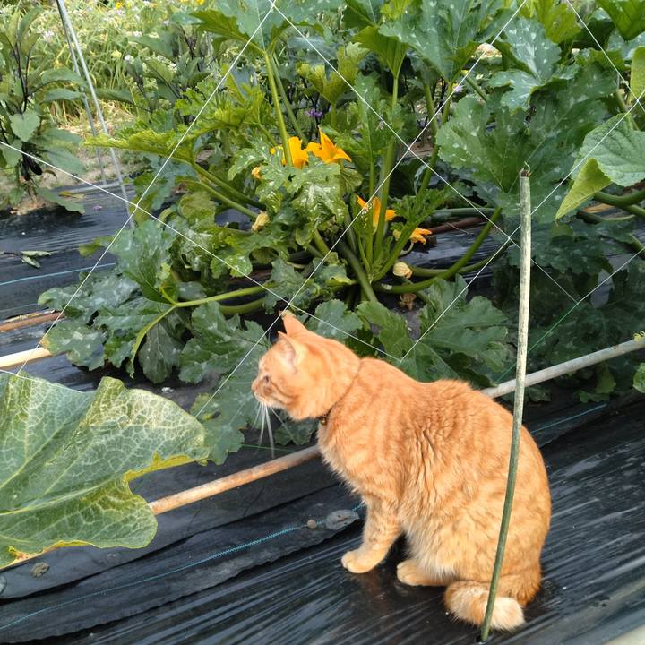 C93ac35f 40dc 40e3 a9e1 3d8960c3b57e 1719008087768