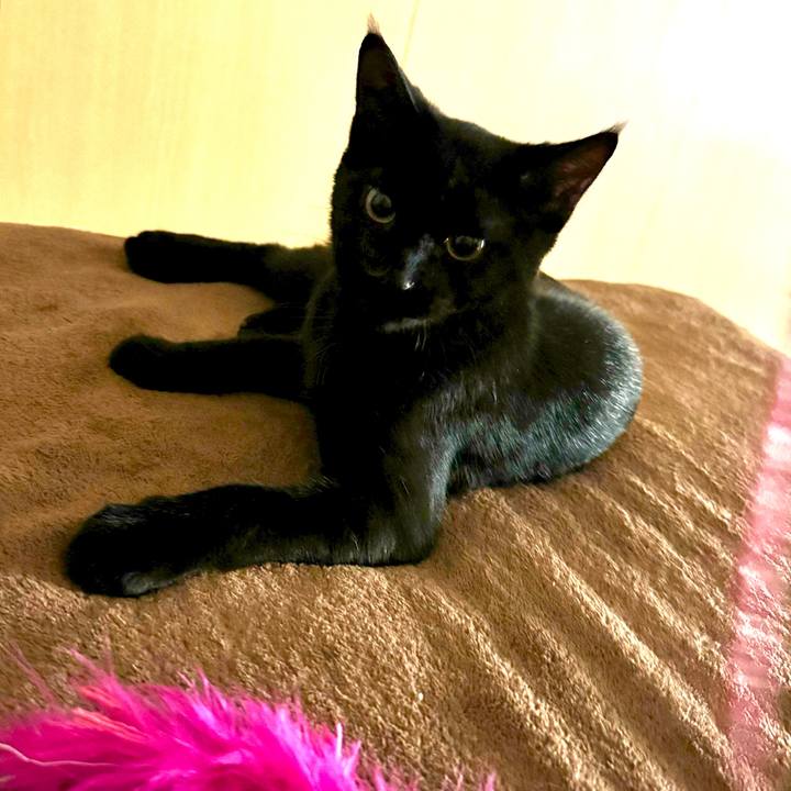 C93ad56b aab8 43e4 8b97 5ee333a52c3c 1727654545102