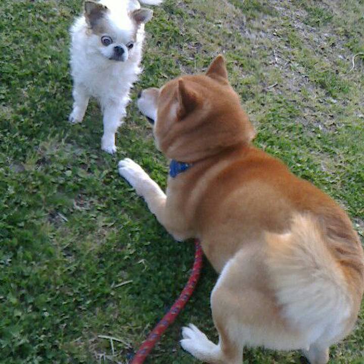 C93ad788 7de7 48c8 99bb e2198bda5c98 1522454098743