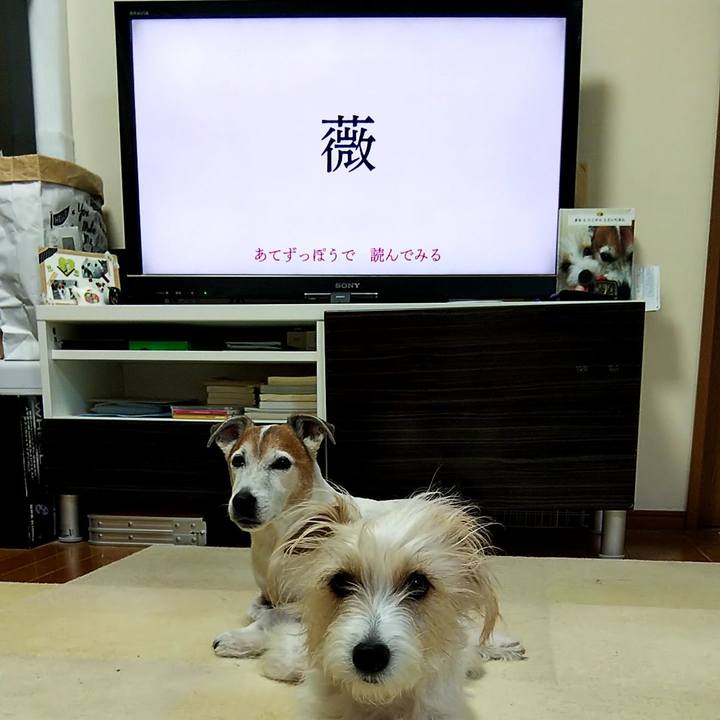 C93b102f 36a0 4ae8 a574 dfd1179a2c8f 1554329002286