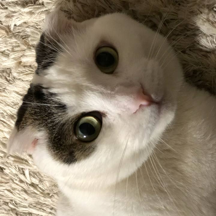 C93b35d4 8bf5 46f4 8593 5280d5a1115d 1533559682315