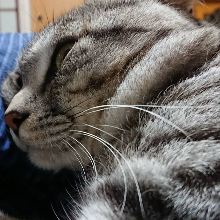 C93b5f8b 247d 45e4 8b24 173c89967b50 1546161969320